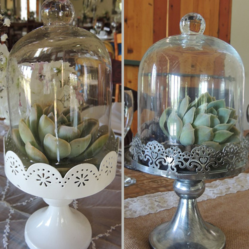 Glass Domes-image